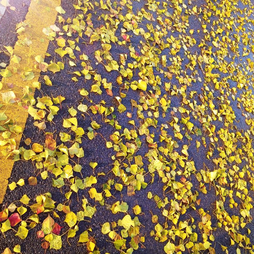 春暖花开