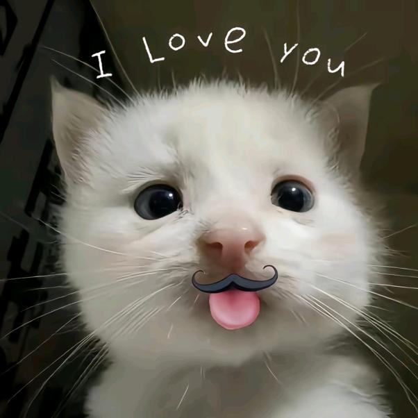 ^喵