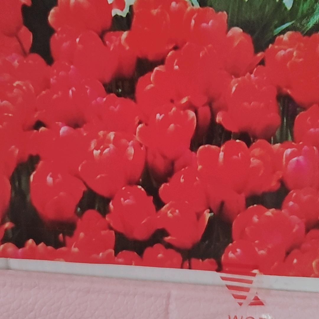胖妞