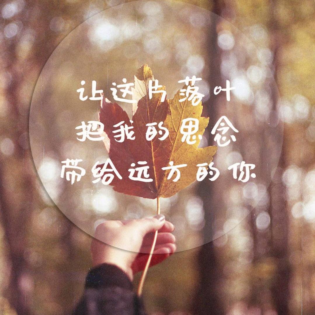 余生请多指教(◔◡◔)
