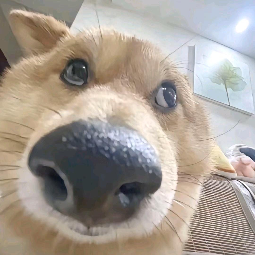 白酒陪美人