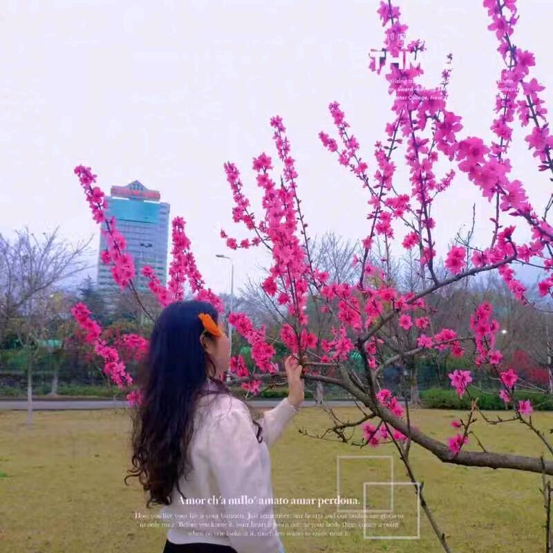 渐行渐远