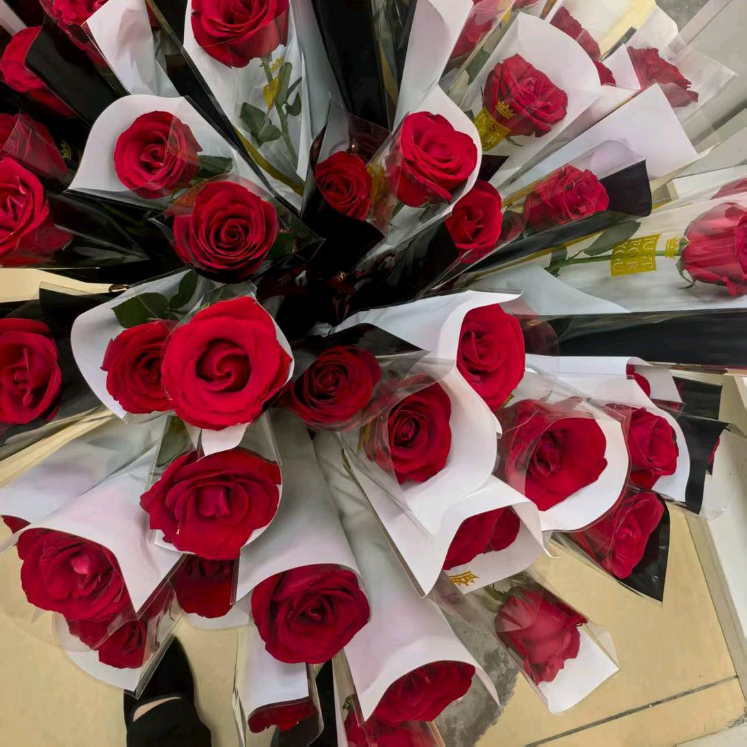 🧚‍♀️🧚‍♀️一缕阳光