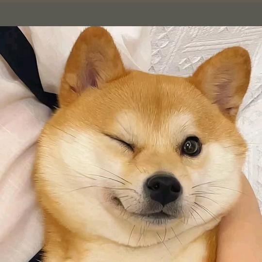 Laughing