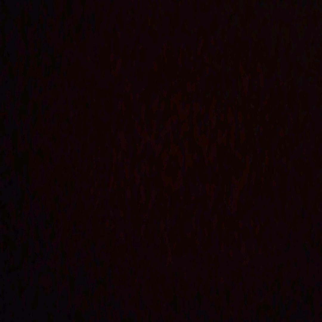 无敌母蟑螂