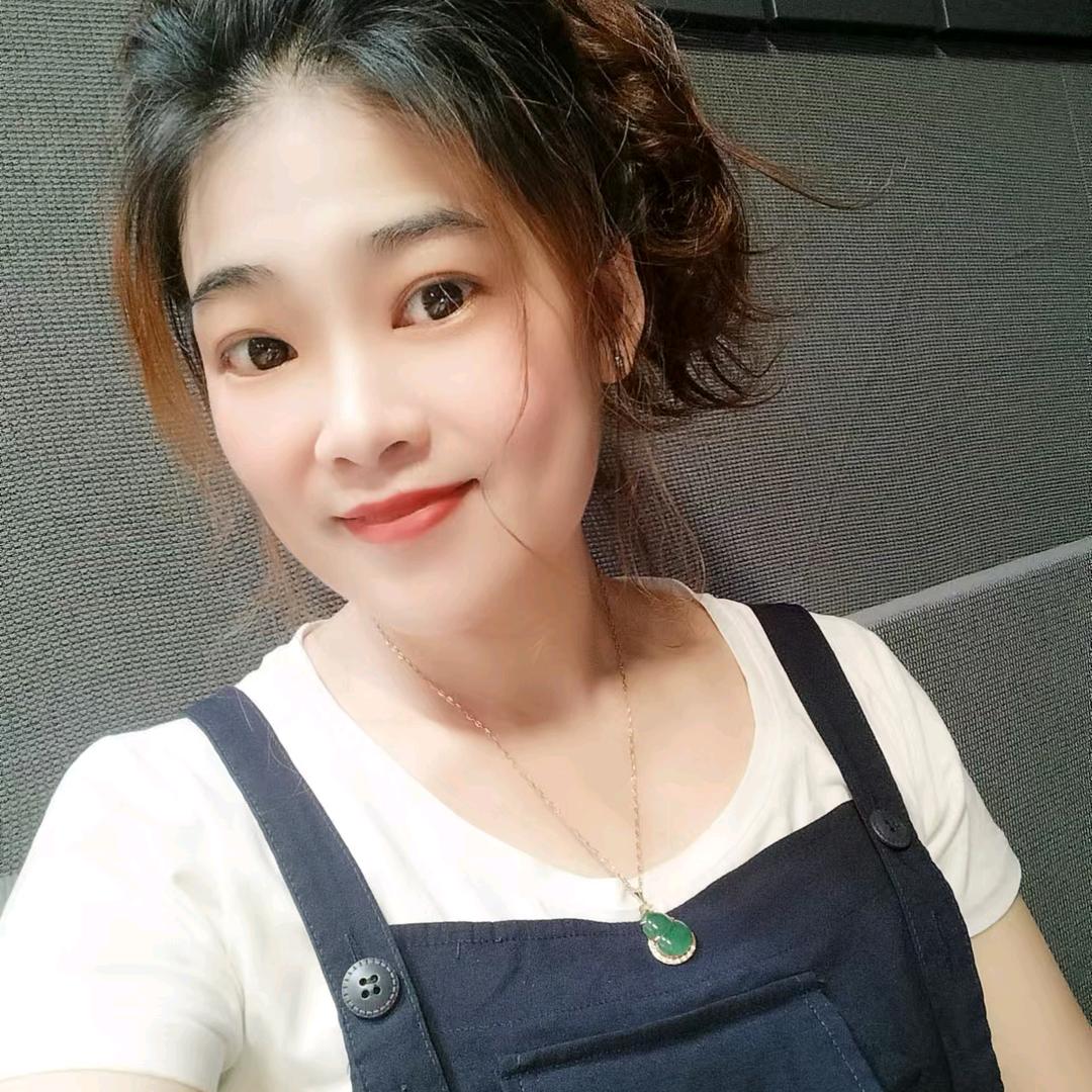 被追捕的旅客