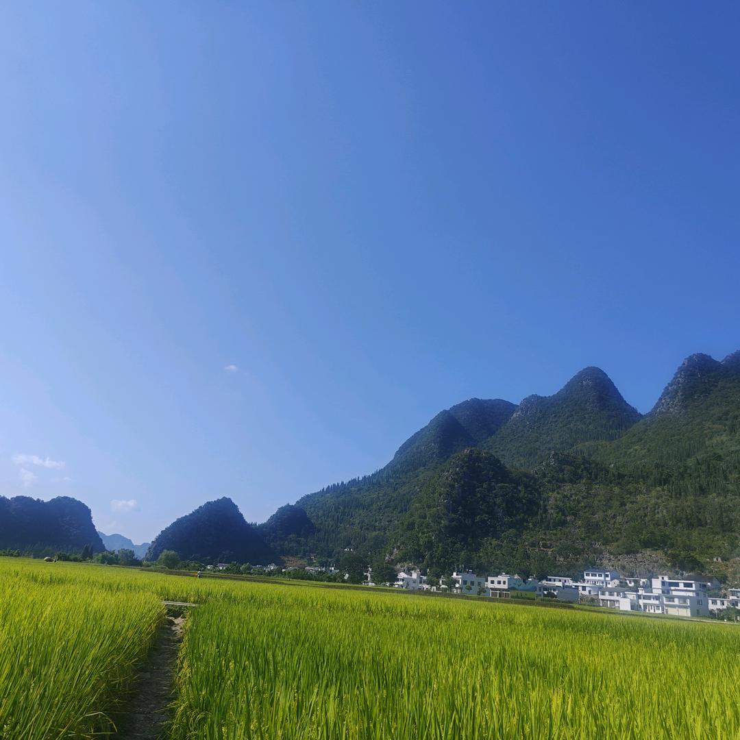 业兮