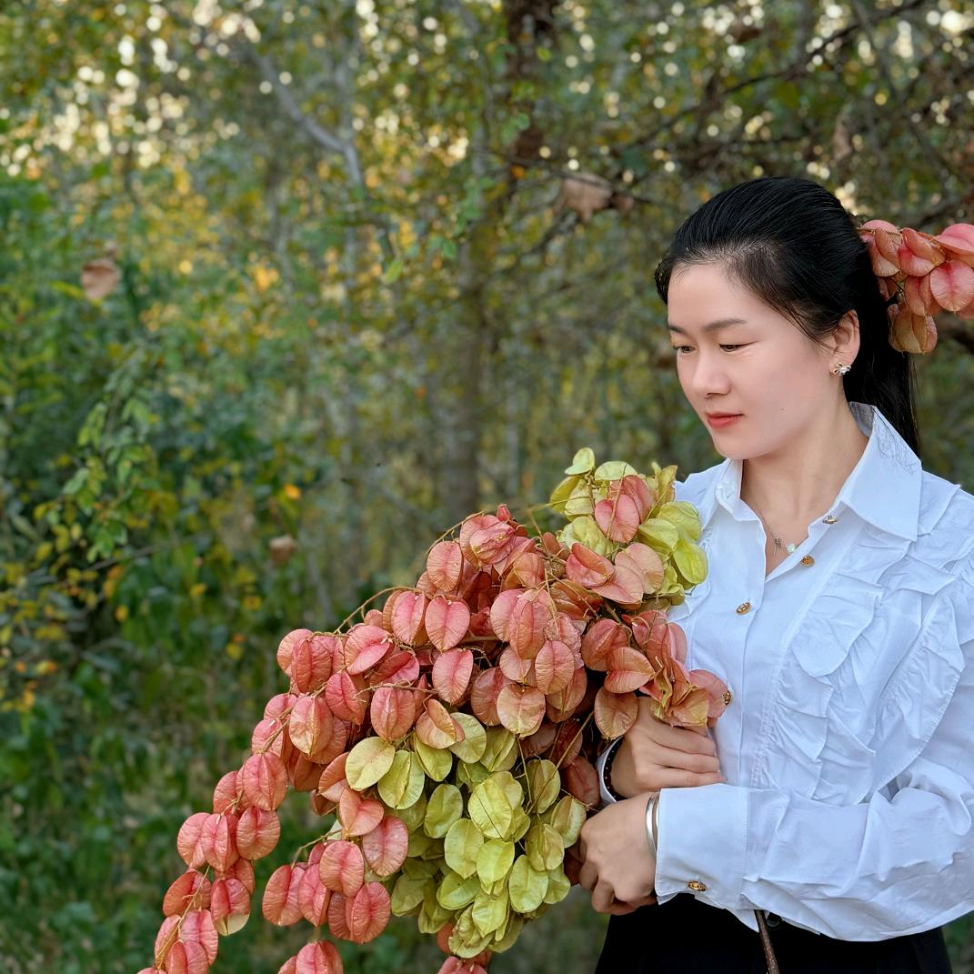 暮色中你的眼眸