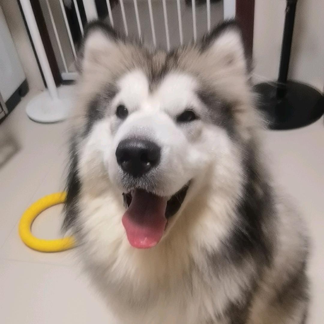 阿拉斯加日用品店