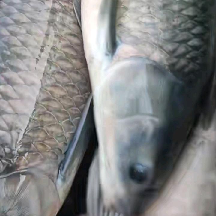 那马三汇休闲乐园