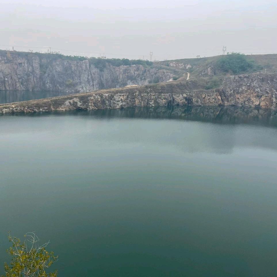 广州共鼓科专用号