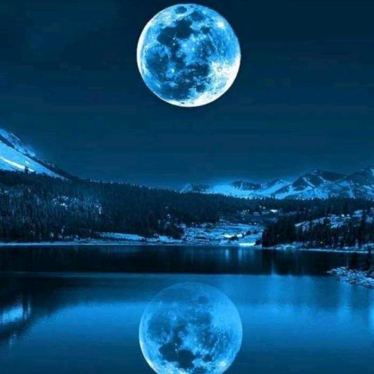 世界对我温柔以待