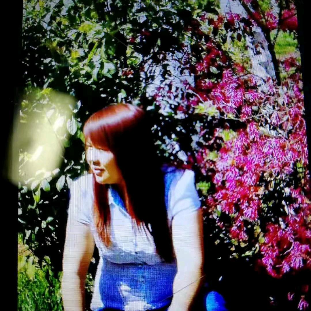 🌹❤️面对现实🌹❤️