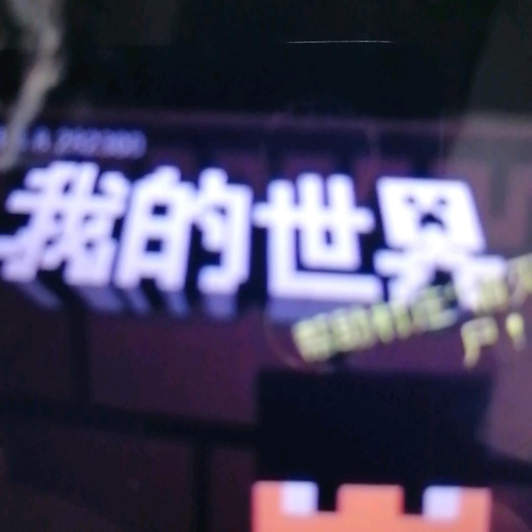 我的世界