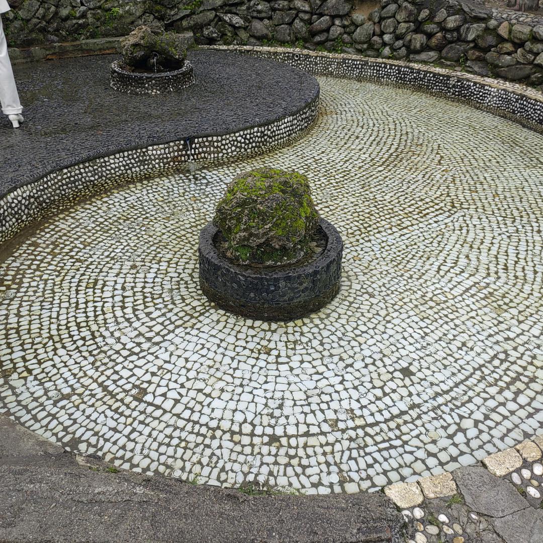 破茧成蝶