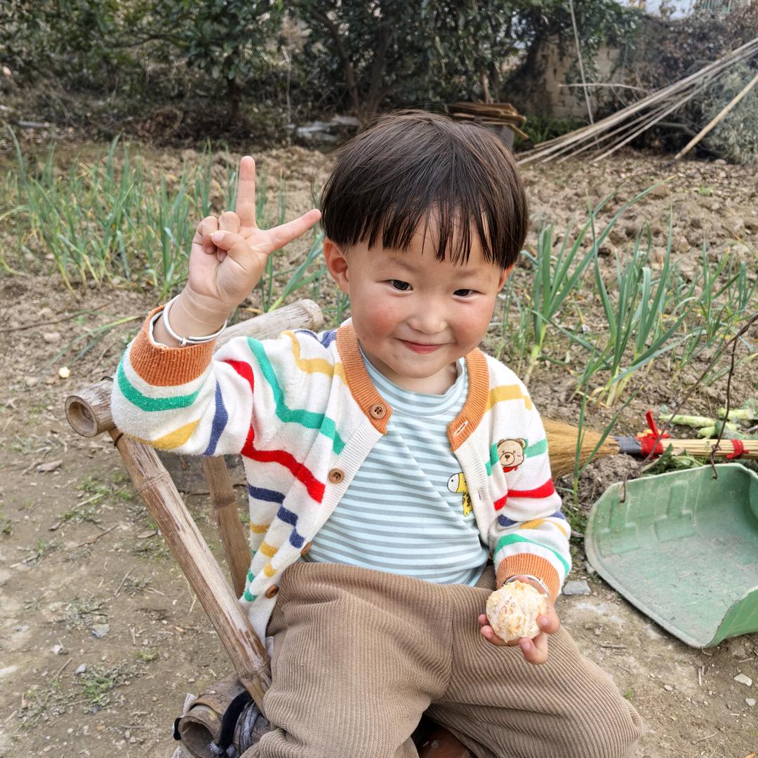 沈清气爽🌸🌸