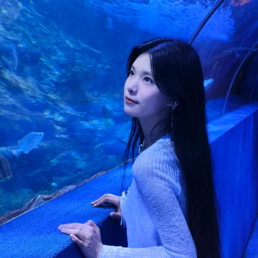 菜菜爱游戏