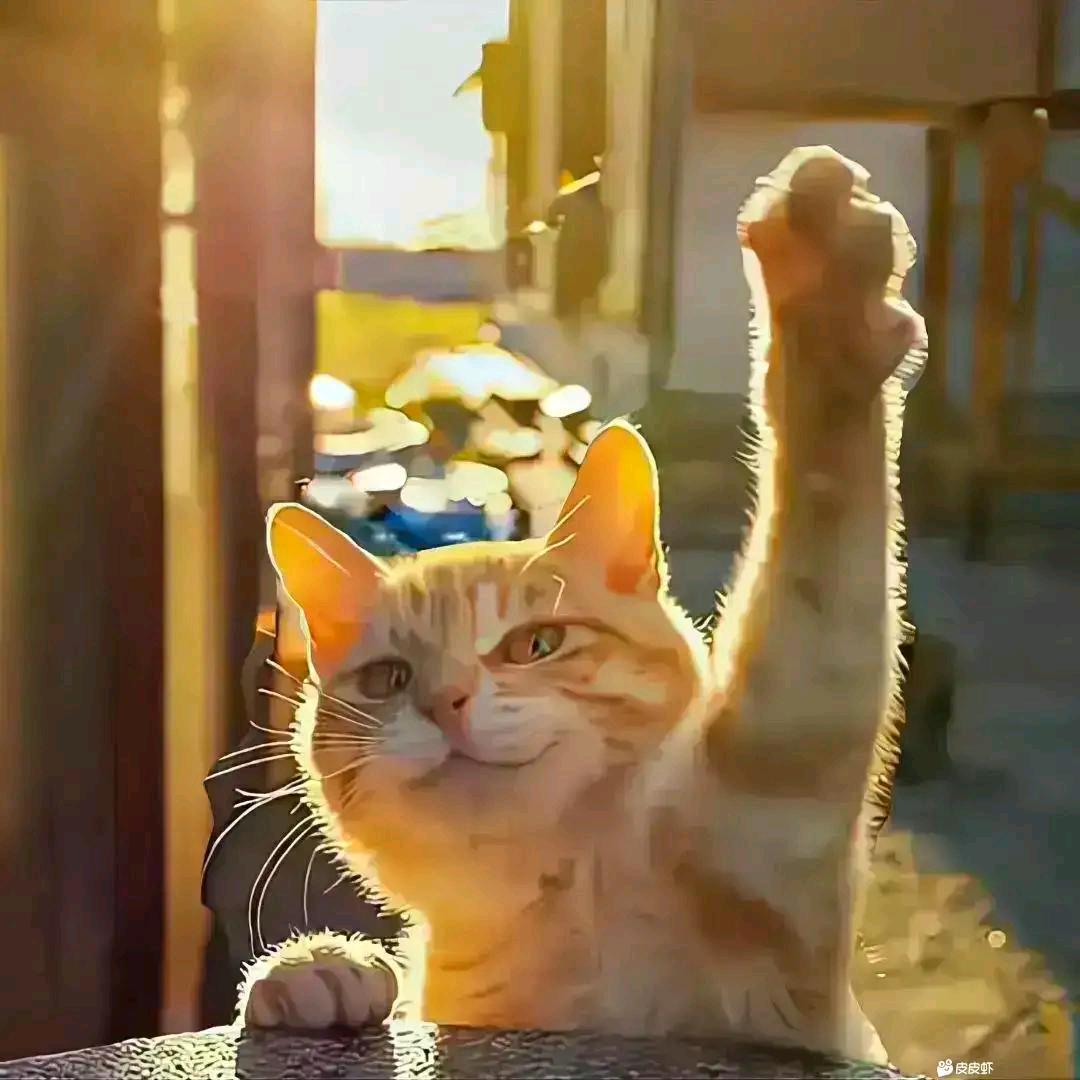 信阳装修家装设计阿俊