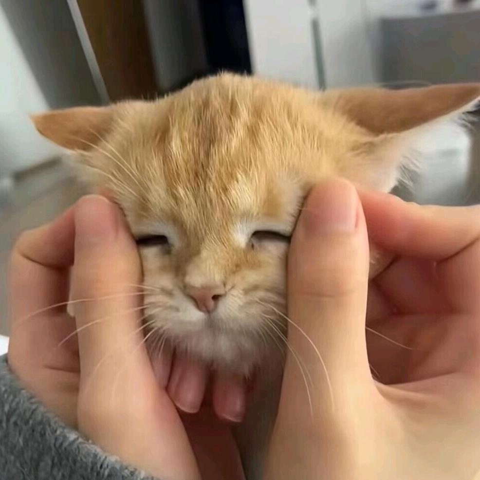 wwwww呜呜呜