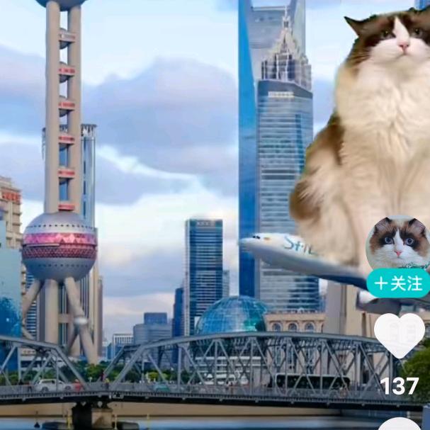 李金殿