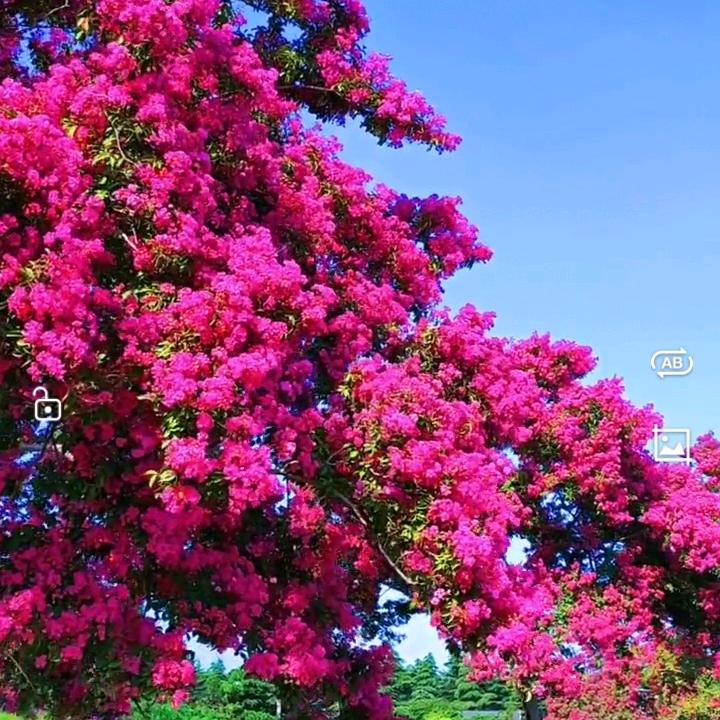 戒烟戒酒不戒你