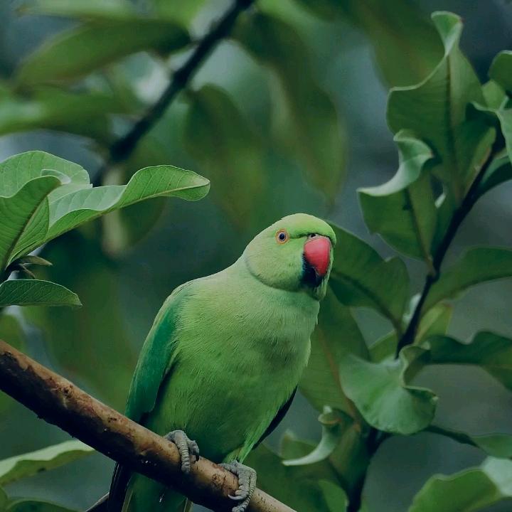 与你同行