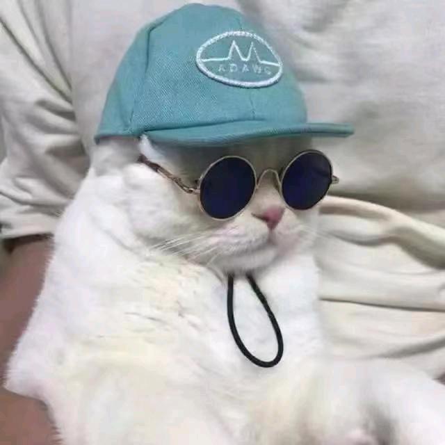 每日一乐
