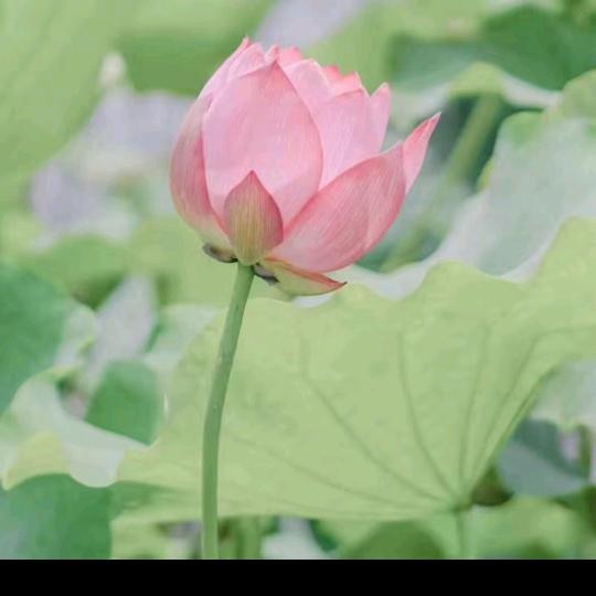 懂得珍惜才配拥有