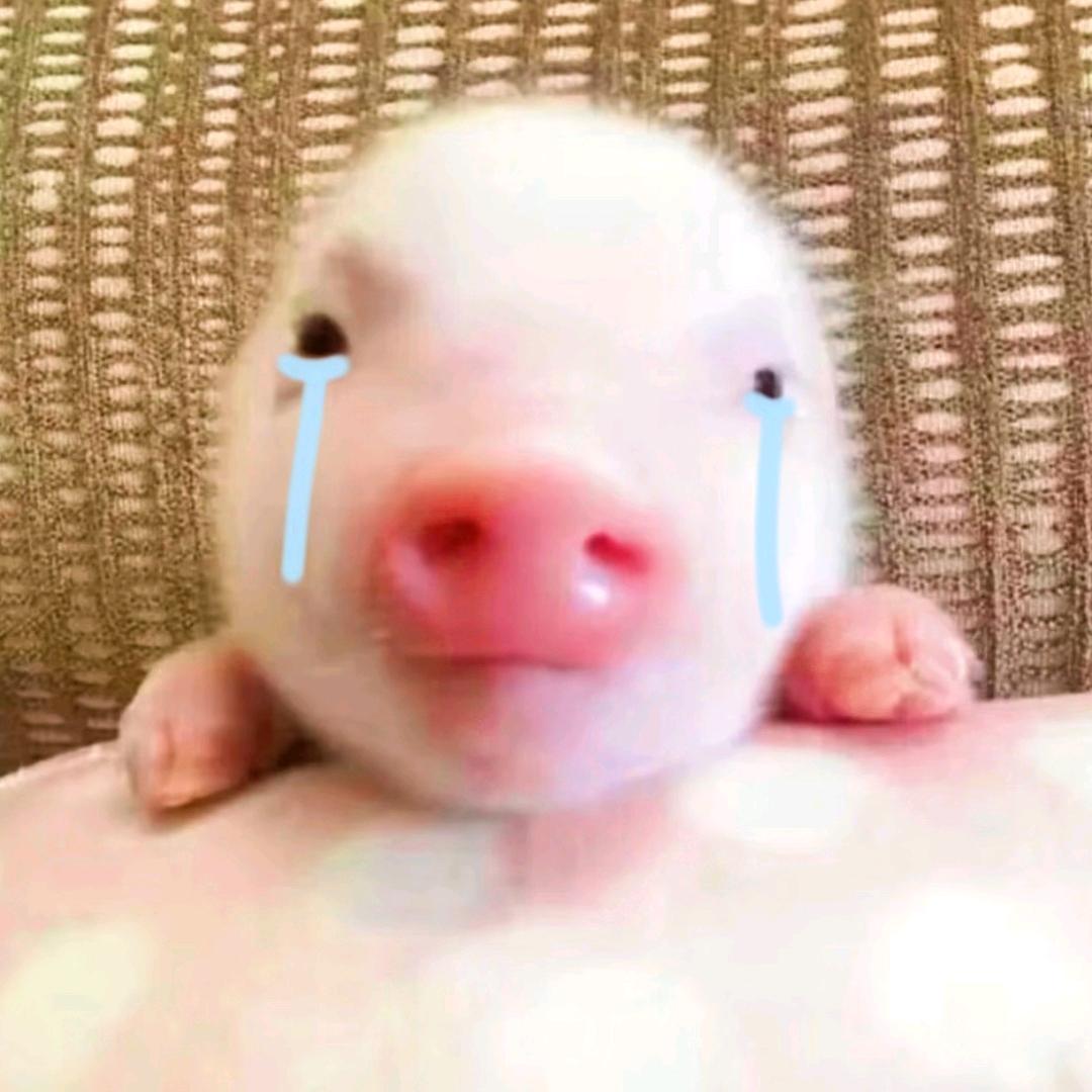 酸辣土豆丝k
