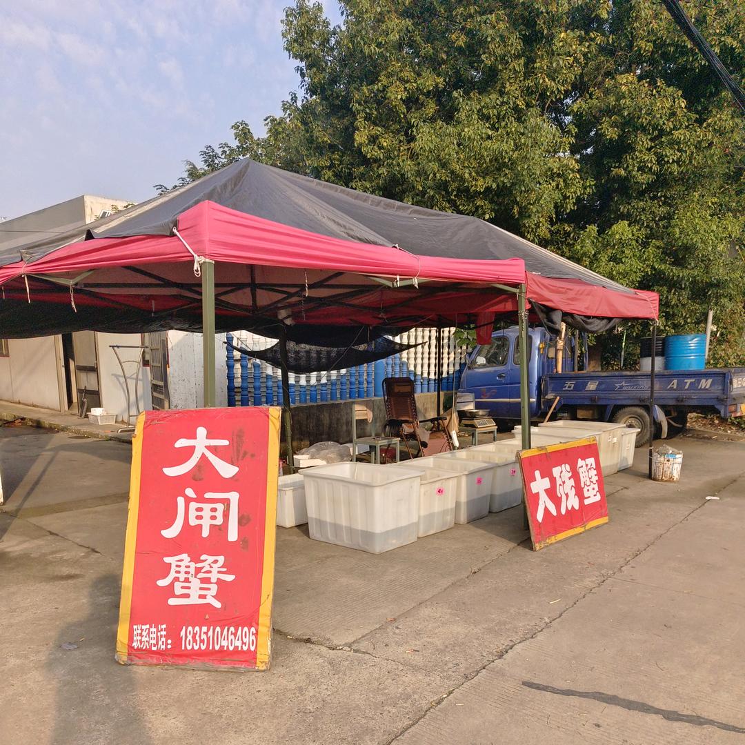 🐟小鱼🐟卖大闸蟹🦀🦀🦀