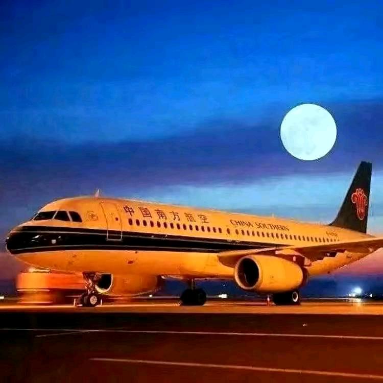 999株木棉花✈️✈️✈️