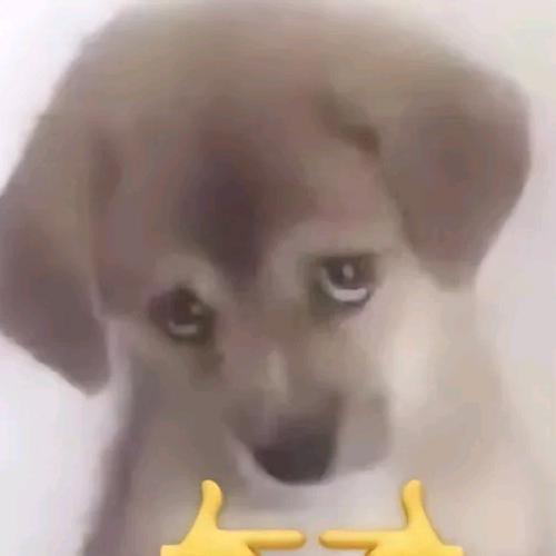 🤧