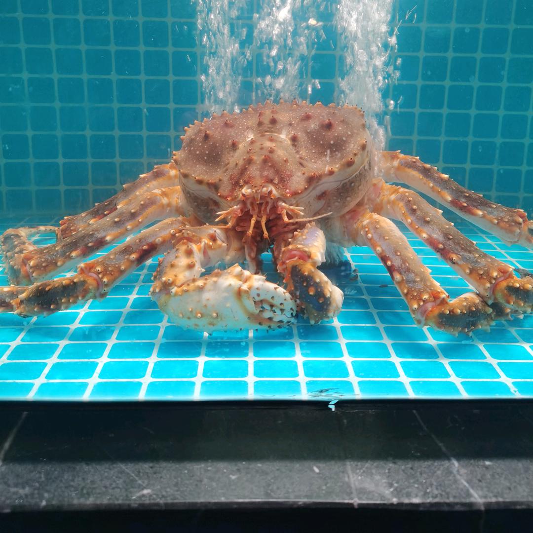 古里BAR音乐酒餐吧