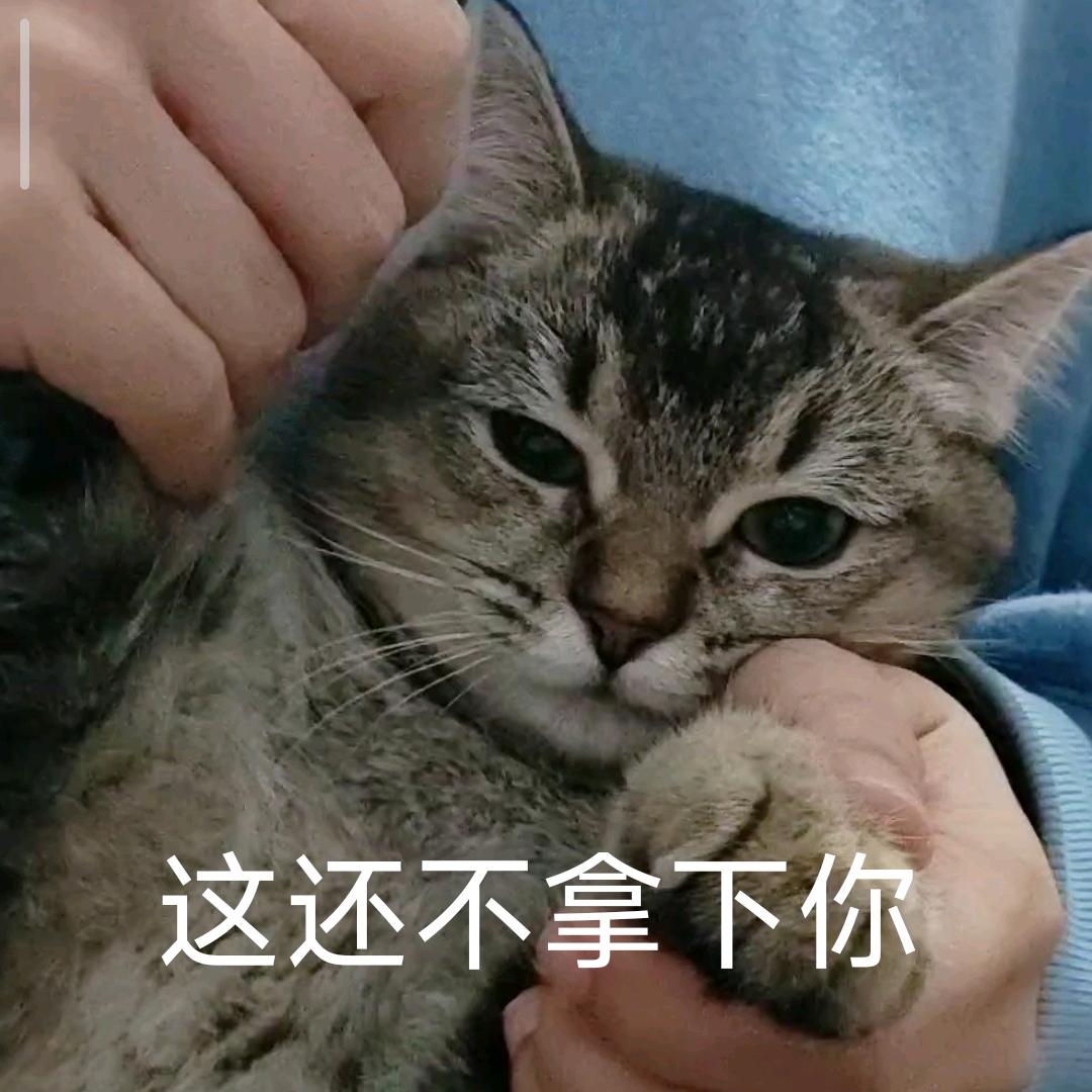 ✨🌈eee六✨