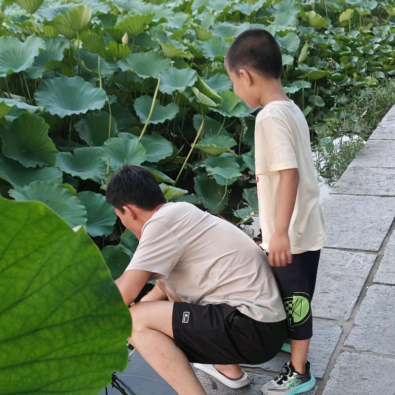 乔治摆摊日记