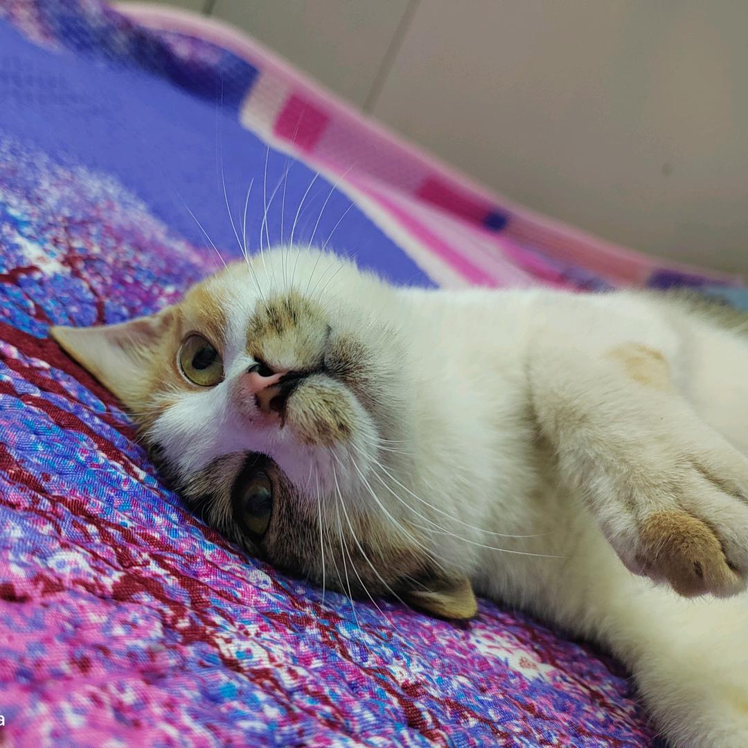 余生🌚᭄关你💨事