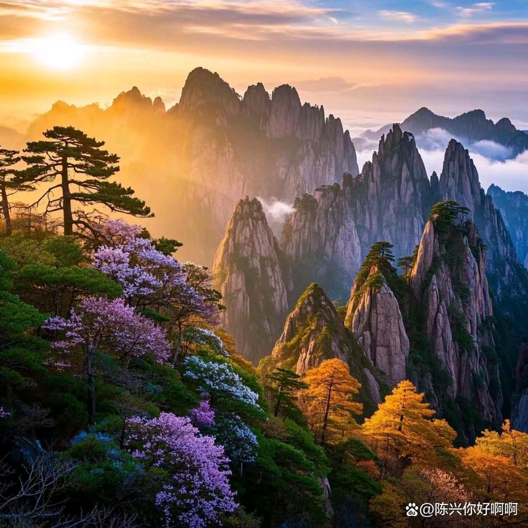 风言风语