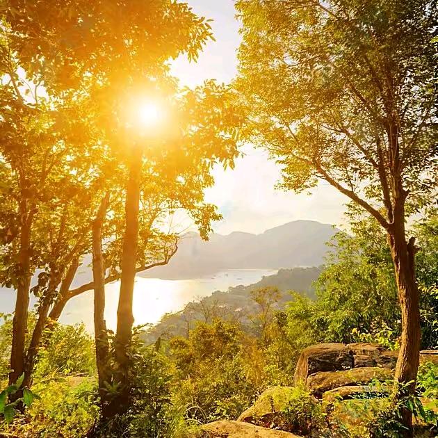 接受不完美的自己