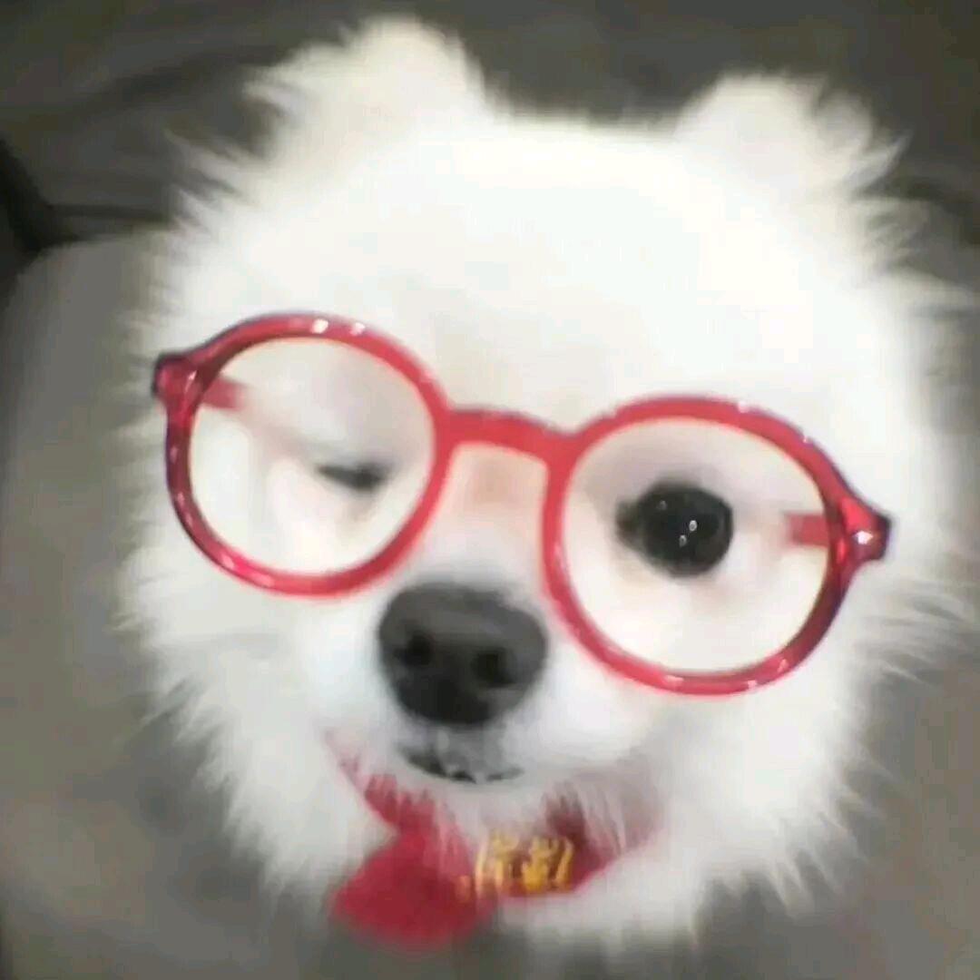 小wèi