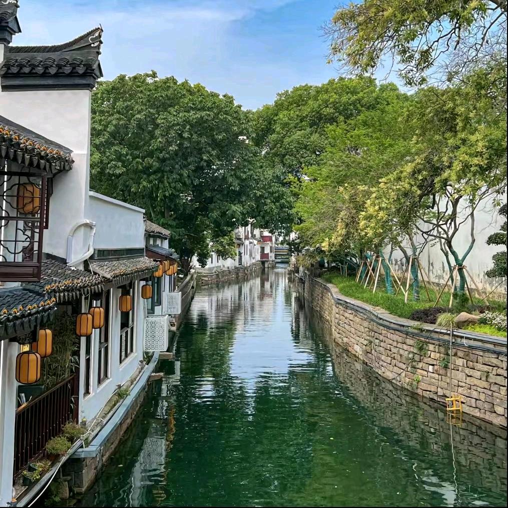 汴京张先生