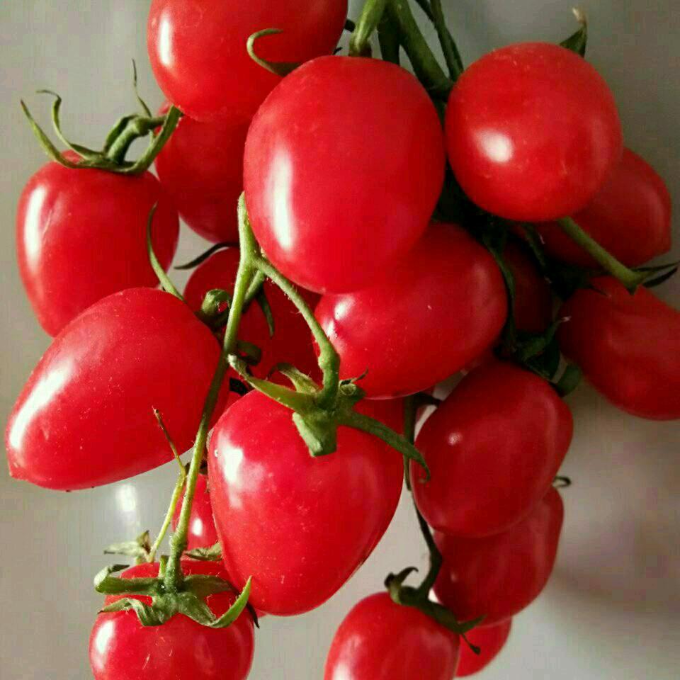 SEASON🌈🎈❤️😀