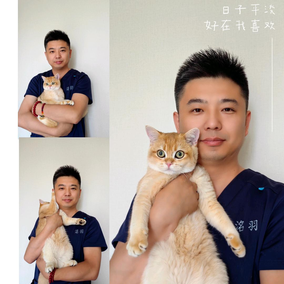 老吴说宠物
