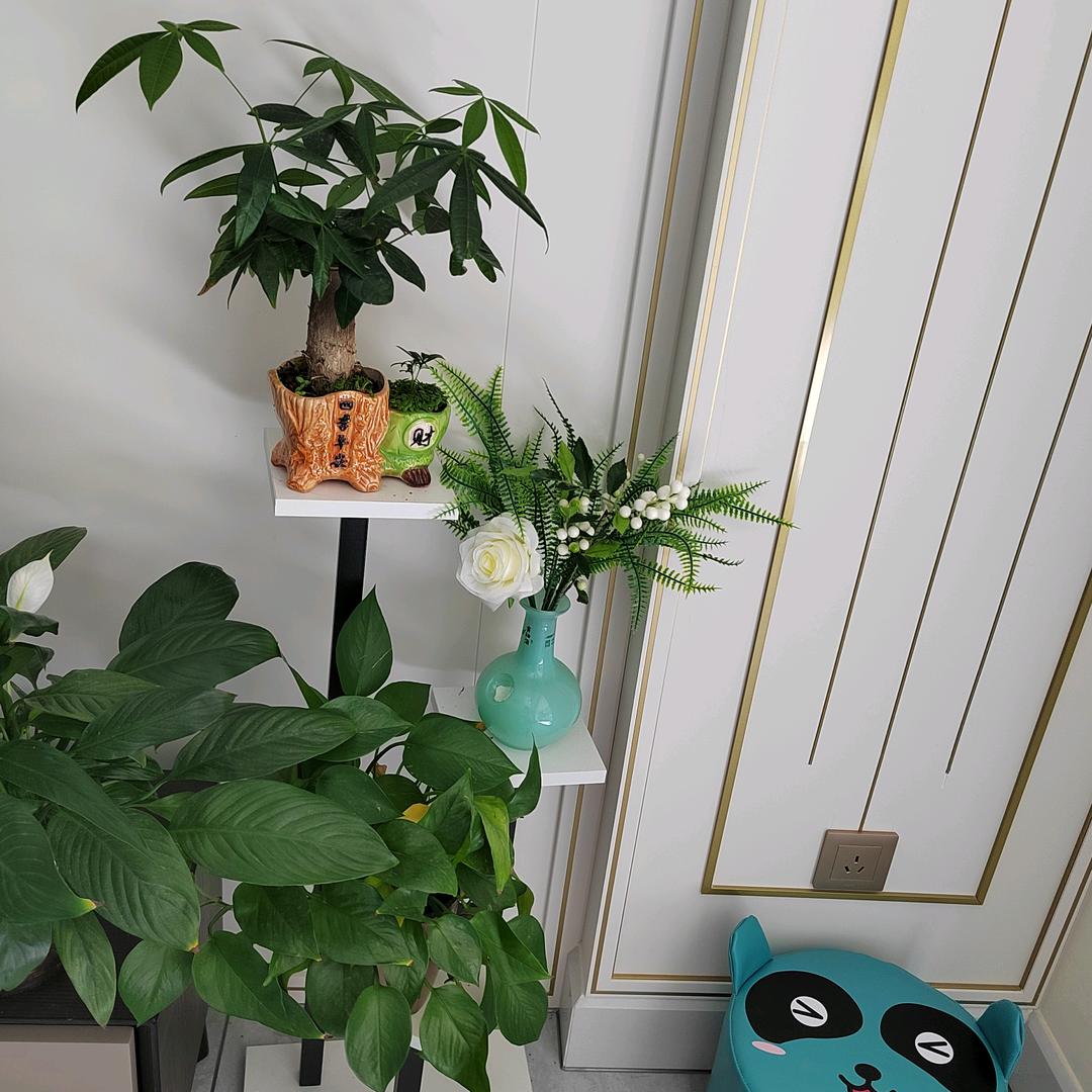 ☘