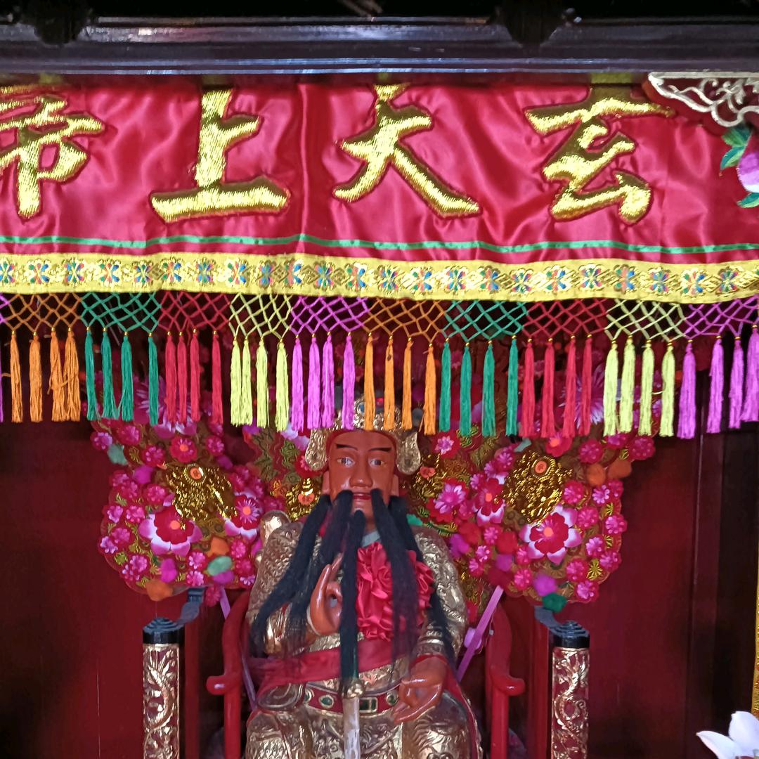 向阳红
