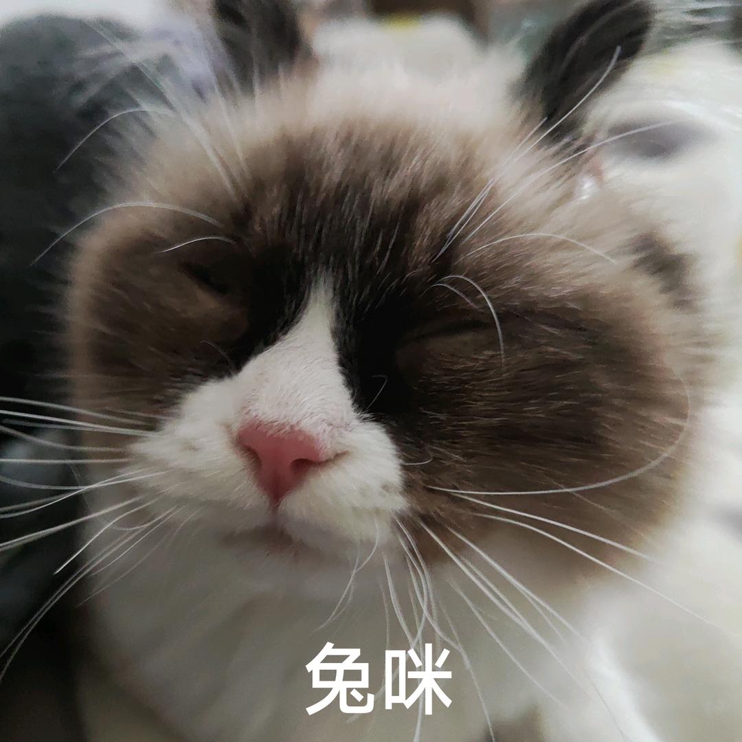 🚴🏻‍♂️压弯小🐏