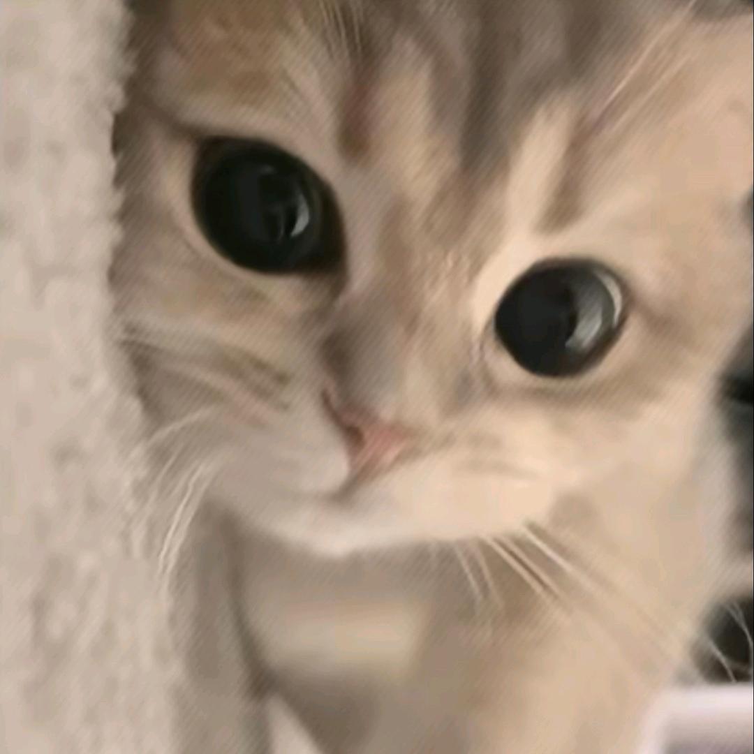 aaa头像