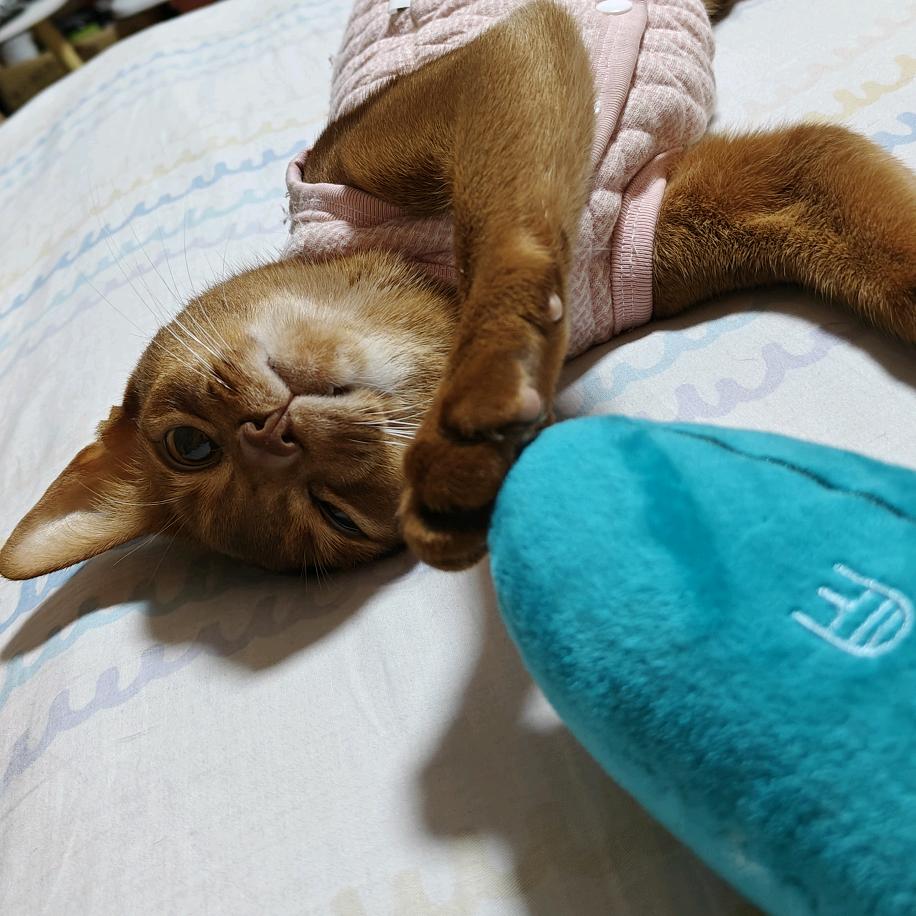 星汉灿烂