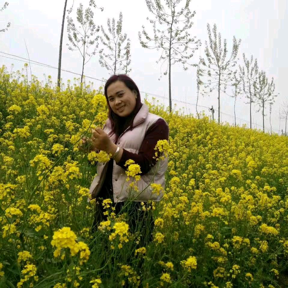 半粒糖，甜到伤