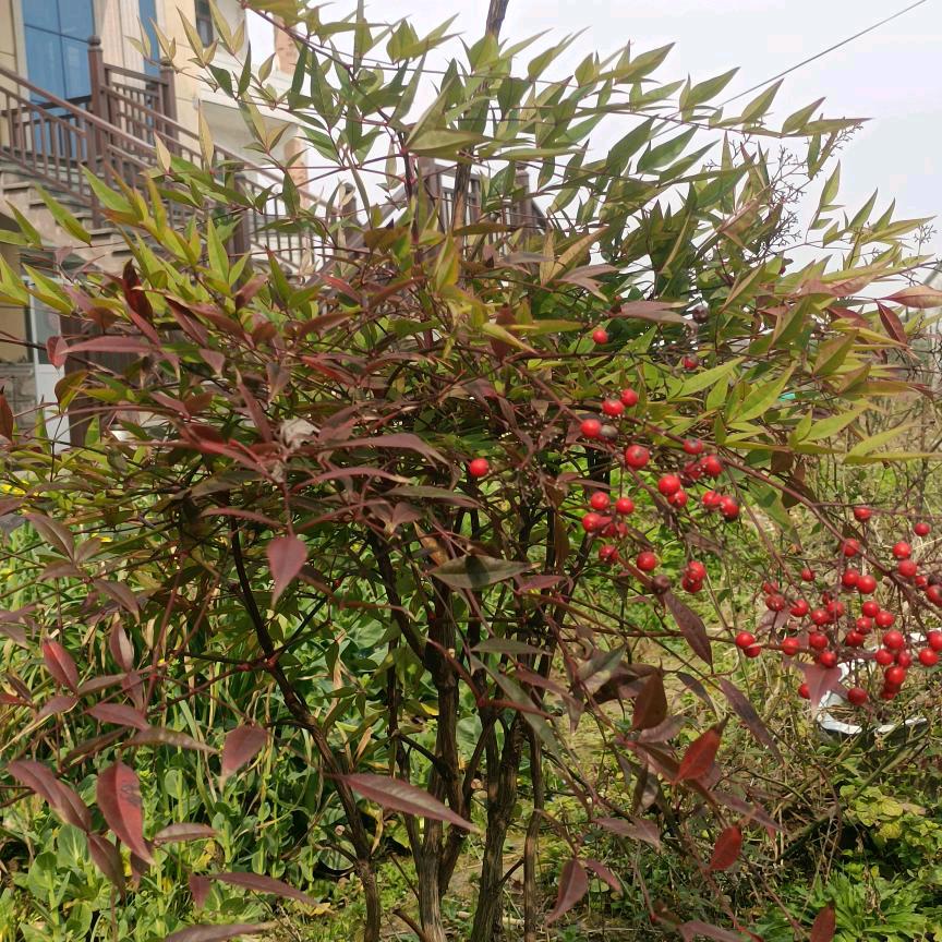 user7959778486219舍得