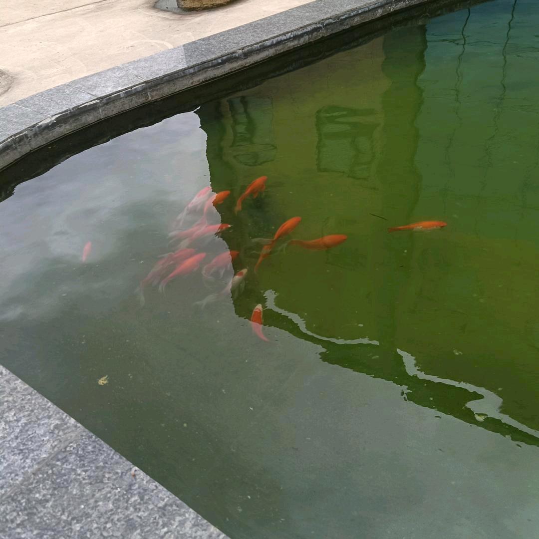 顺风顺水